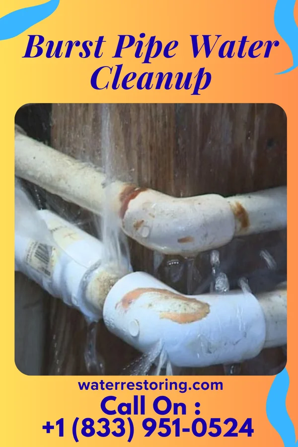 Burst Pipe Water Cleanup in Lake Sherwood, WI