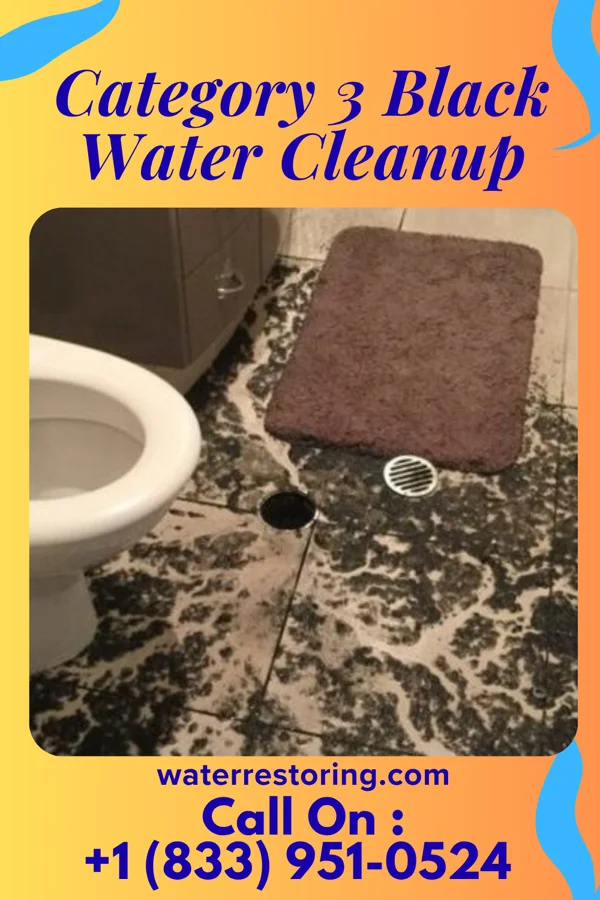 Category 3 Black Water Cleanup in Lake Sherwood, WI