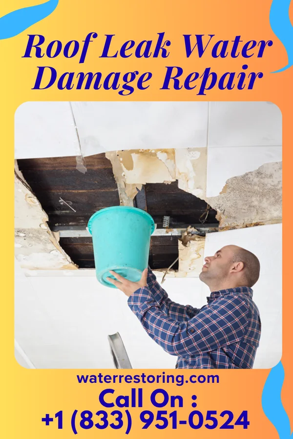 Roof Leak Water Damage Repair in Lake Sherwood, WI