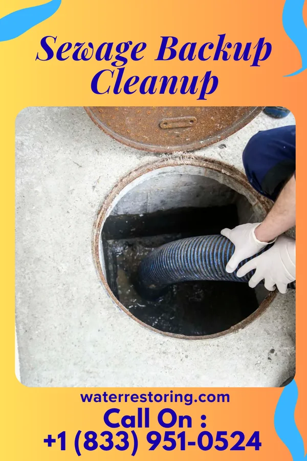 Sewage Backup Cleanup in Lake Sherwood, WI