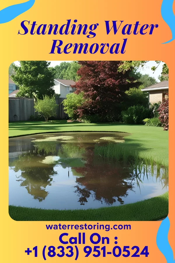 Standing Water Removal in Lake Sherwood, WI